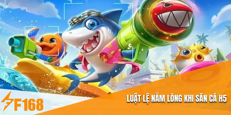 Luật lệ nằm lòng khi săn cá H5