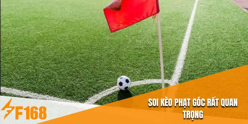 Soi kèo phạt góc rất quan trọng